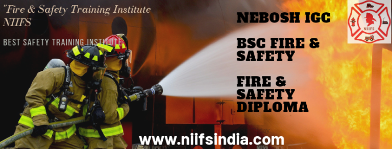 Bsc Fire And Safety Training Institute Mumbai Niifs 